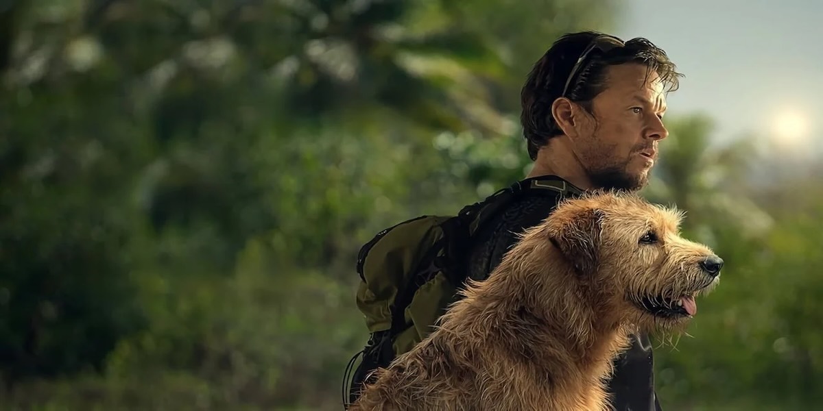 Arthur the King è una storia vera? Un cane seguì un atleta nella ...