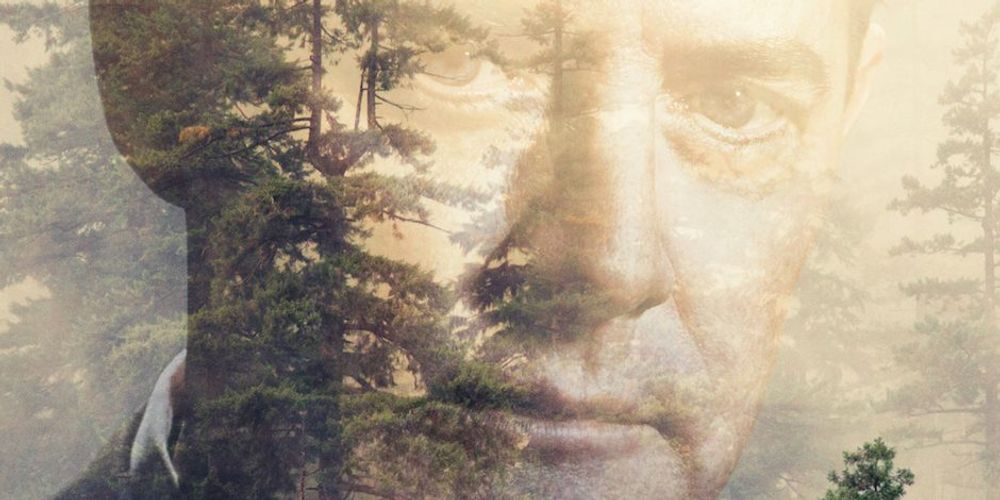 twin-peaks-dale-cooper