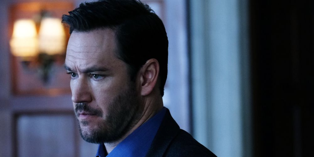 paul-mark-gosselaar-mixed-ish