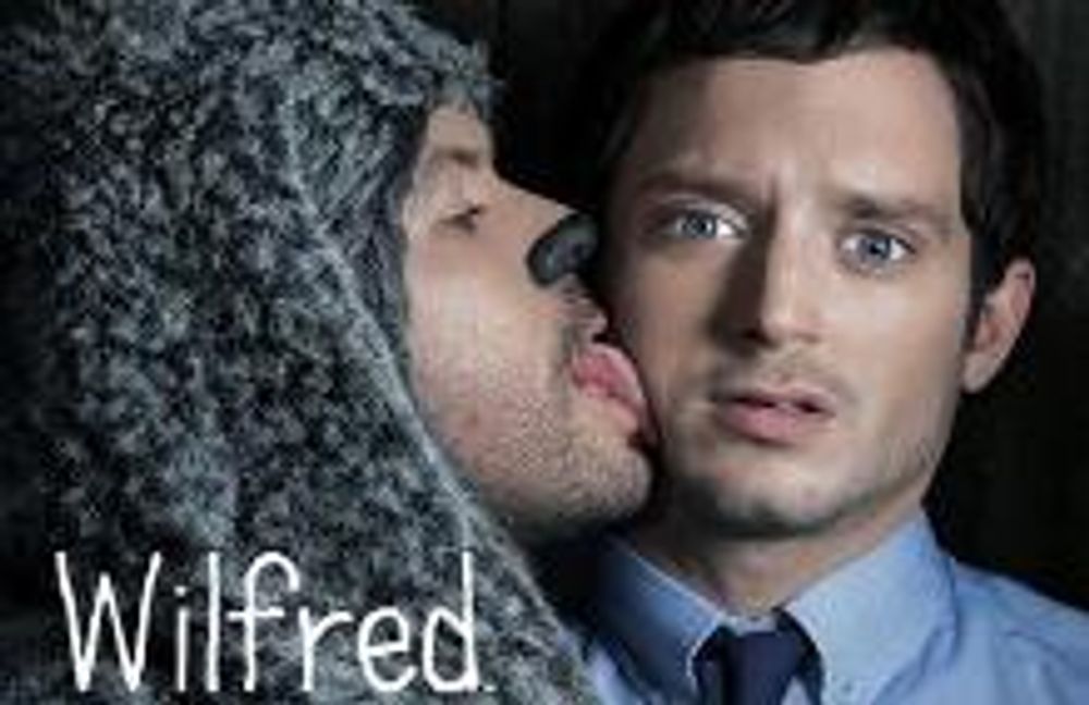 wilfred-banner