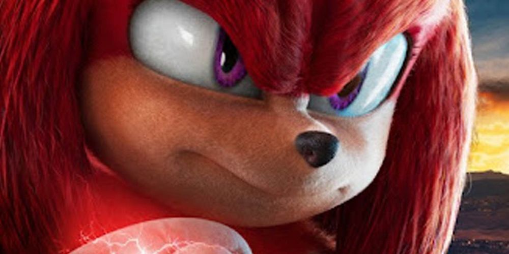 knuckles-cover