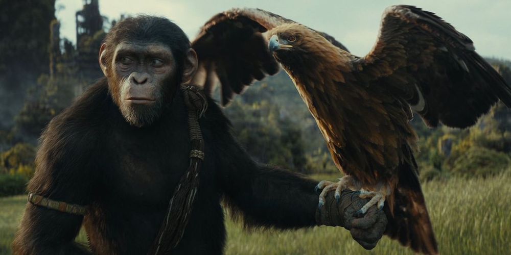 il-regno-del-pianeta-delle-scimmie-streaming-disney-2-agosto
