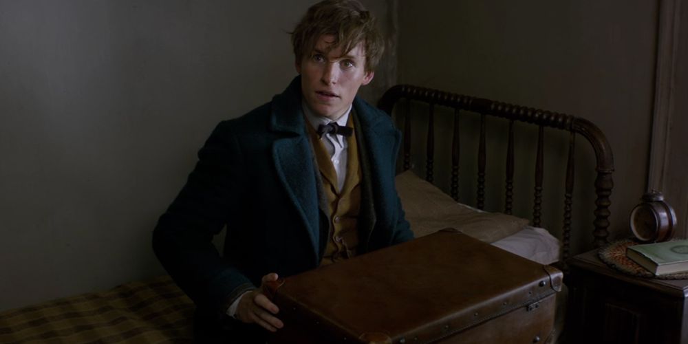 newt-scamander-eddie-animali-fantastici