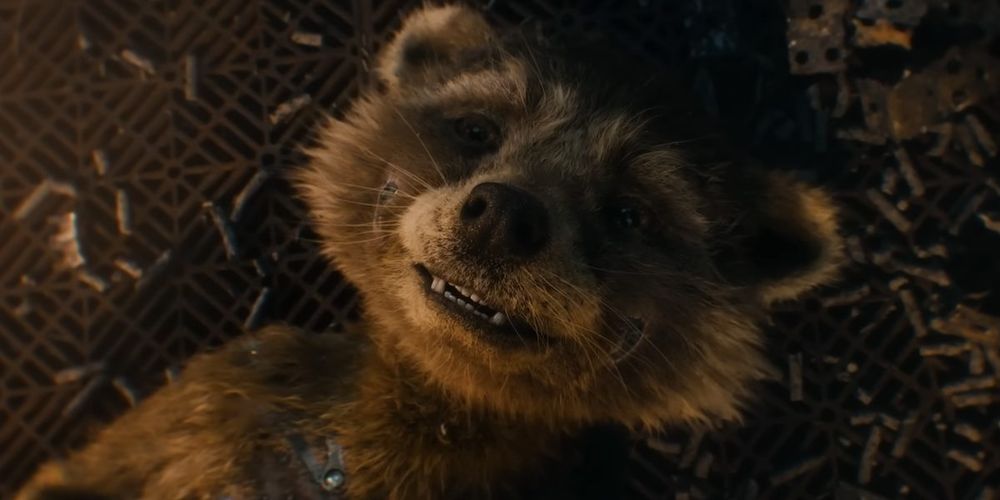 guardiani-della-galassia-3-rocket-raccoon