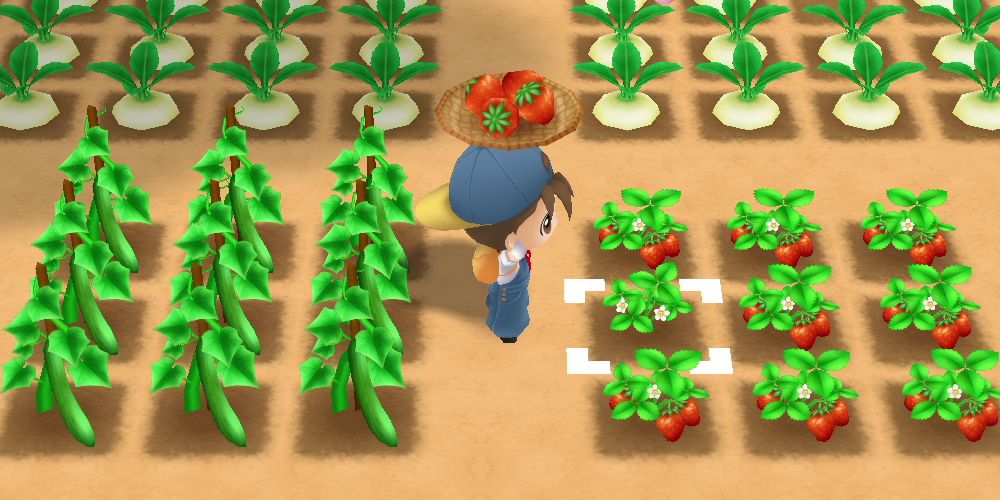 story-of-seasons-friends-of-mineral-town-banner