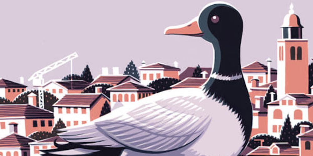tcbf2019-manifesto-2-1